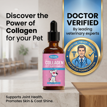 Collagen For Dogs