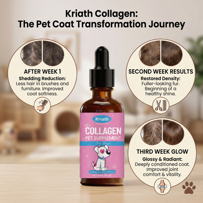 Collagen For Dogs